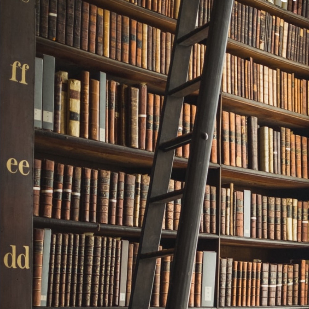 Meet your Posher, Kimberley